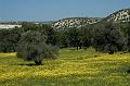 Chypre07 - 2007-03-10_12-34-50